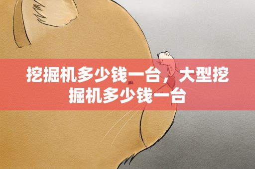 挖掘机多少钱一台，大型挖掘机多少钱一台