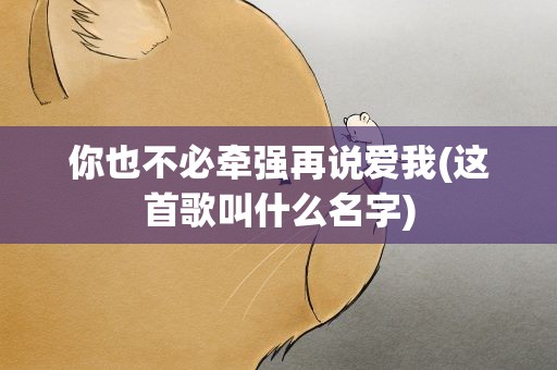 你也不必牵强再说爱我(这首歌叫什么名字)