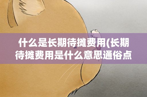 什么是长期待摊费用(长期待摊费用是什么意思通俗点)