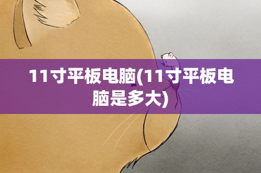 11寸平板电脑(11寸平板电脑是多大)