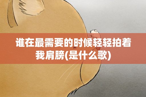 谁在最需要的时候轻轻拍着我肩膀(是什么歌)