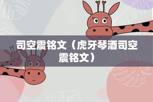 司空震铭文（虎牙琴酒司空震铭文）