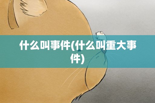 什么叫事件(什么叫重大事件)