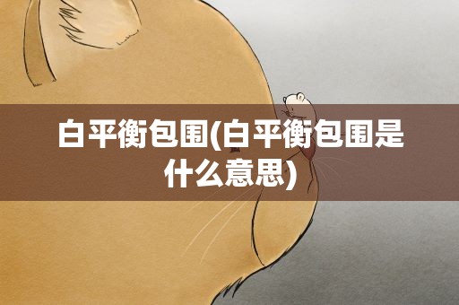 白平衡包围(白平衡包围是什么意思)