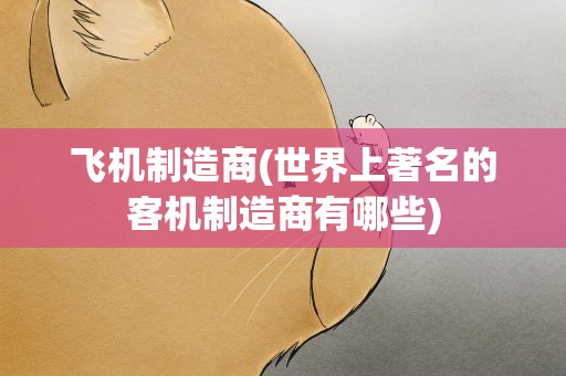 飞机制造商(世界上著名的客机制造商有哪些)