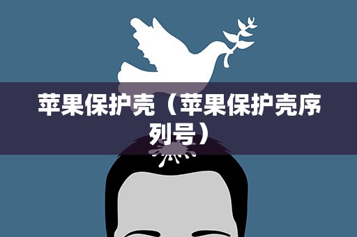 苹果保护壳（苹果保护壳序列号）