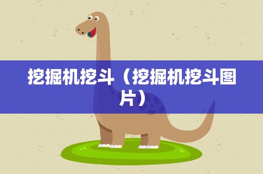 挖掘机挖斗（挖掘机挖斗图片）