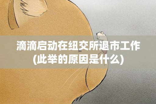 滴滴启动在纽交所退市工作(此举的原因是什么)