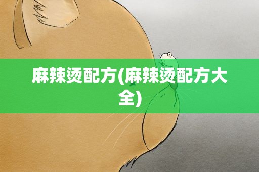 麻辣烫配方(麻辣烫配方大全)
