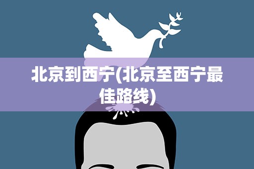 北京到西宁(北京至西宁最佳路线)
