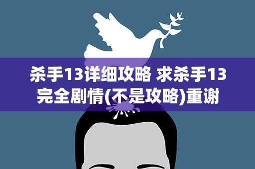 杀手13详细攻略 求杀手13完全剧情(不是攻略)重谢