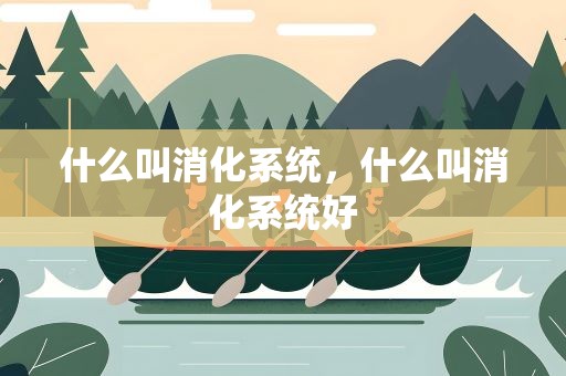 什么叫消化系统，什么叫消化系统好