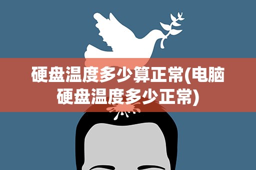 硬盘温度多少算正常(电脑硬盘温度多少正常)