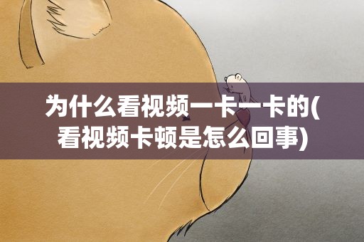 为什么看视频一卡一卡的(看视频卡顿是怎么回事)