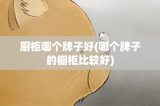 厨柜哪个牌子好(哪个牌子的橱柜比较好)