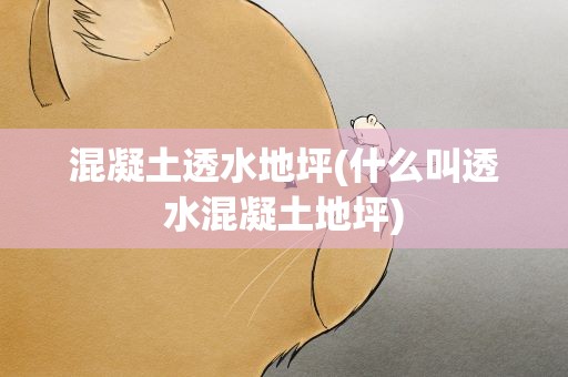 混凝土透水地坪(什么叫透水混凝土地坪)