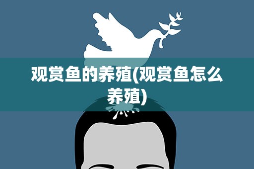 观赏鱼的养殖(观赏鱼怎么养殖)