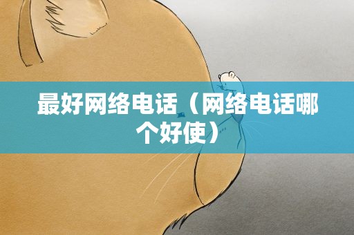 最好网络电话（网络电话哪个好使）