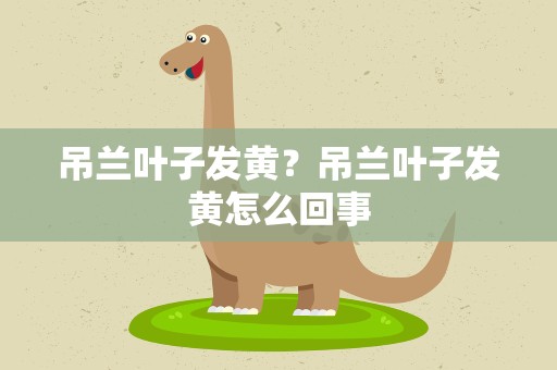 吊兰叶子发黄？吊兰叶子发黄怎么回事
