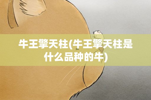牛王擎天柱(牛王擎天柱是什么品种的牛)