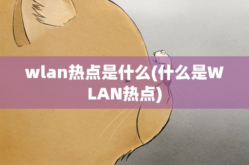 wlan热点是什么(什么是WLAN热点)