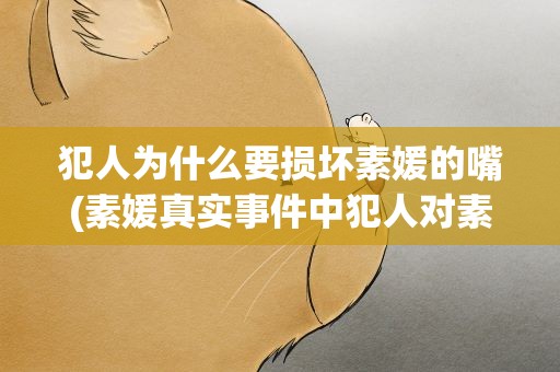 犯人为什么要损坏素媛的嘴(素媛真实事件中犯人对素媛到底做了什么)