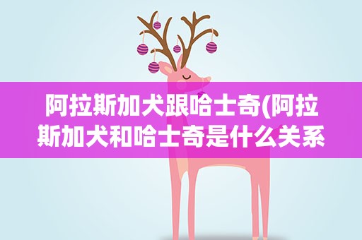 阿拉斯加犬跟哈士奇(阿拉斯加犬和哈士奇是什么关系)