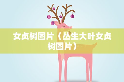 女贞树图片（丛生大叶女贞树图片）