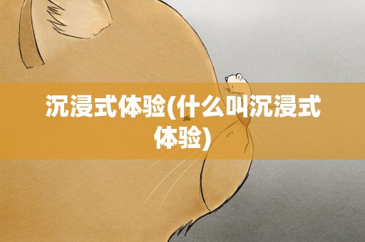 沉浸式体验(什么叫沉浸式体验)