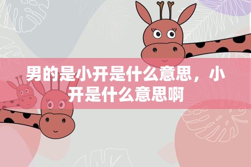 男的是小开是什么意思，小开是什么意思啊