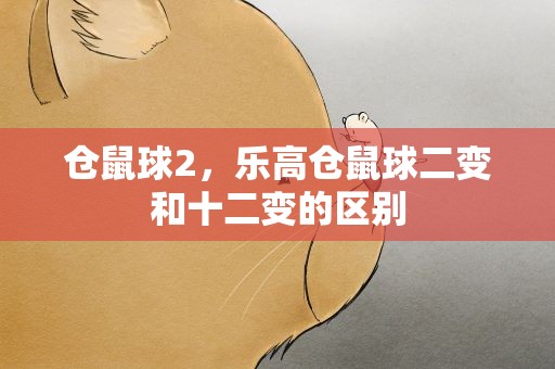 仓鼠球2，乐高仓鼠球二变和十二变的区别
