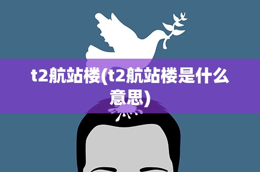 t2航站楼(t2航站楼是什么意思)