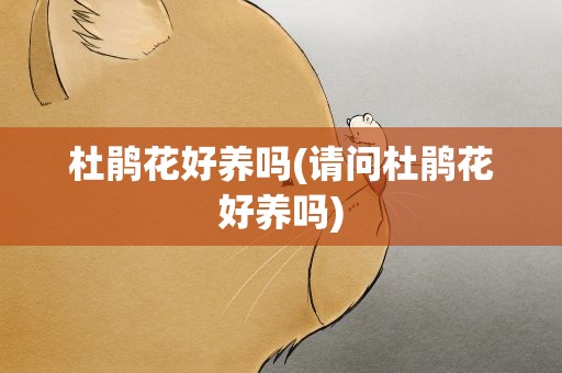 杜鹃花好养吗(请问杜鹃花好养吗)
