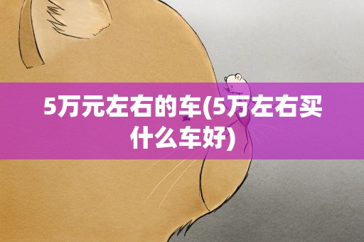 5万元左右的车(5万左右买什么车好)