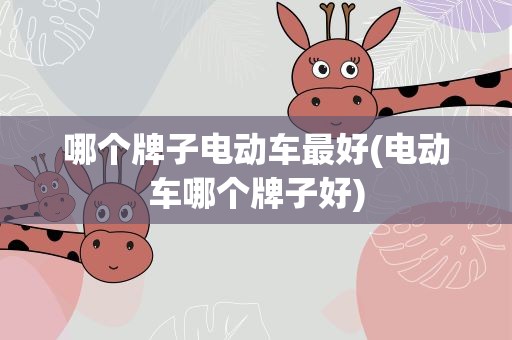 哪个牌子电动车最好(电动车哪个牌子好)