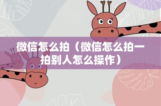 微信怎么拍（微信怎么拍一拍别人怎么操作）