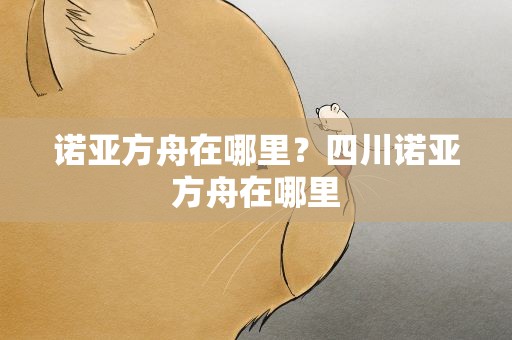 诺亚方舟在哪里？四川诺亚方舟在哪里