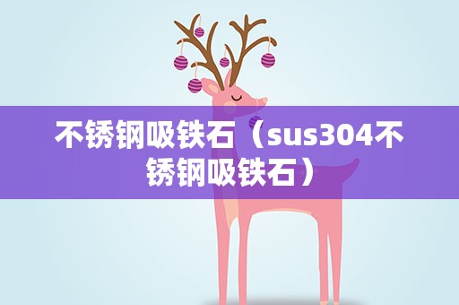 不锈钢吸铁石（sus304不锈钢吸铁石）