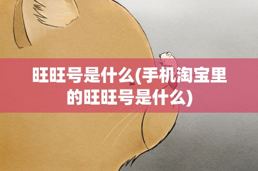 旺旺号是什么(手机淘宝里的旺旺号是什么)