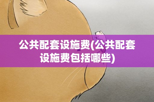 公共配套设施费(公共配套设施费包括哪些)