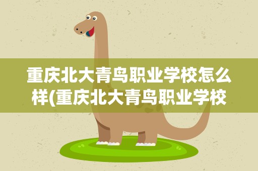 重庆北大青鸟职业学校怎么样(重庆北大青鸟职业学校怎么样知乎)