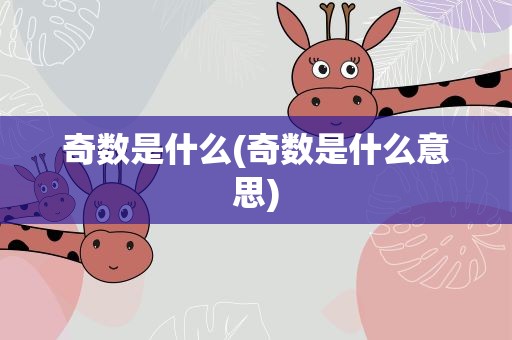 奇数是什么(奇数是什么意思)