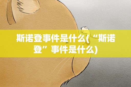 斯诺登事件是什么(“斯诺登”事件是什么)