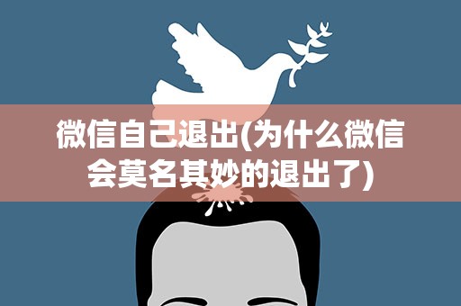 微信自己退出(为什么微信会莫名其妙的退出了)