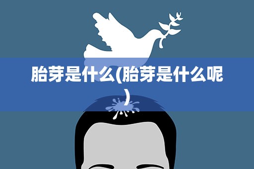 胎芽是什么(胎芽是什么呢)