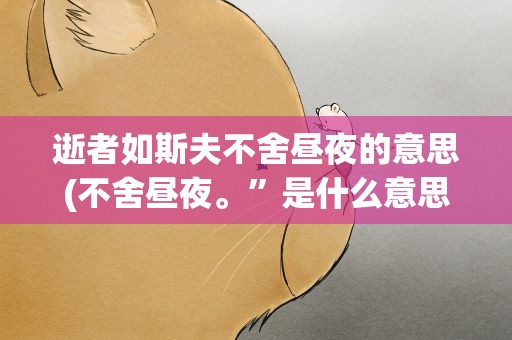 逝者如斯夫不舍昼夜的意思(不舍昼夜。”是什么意思)