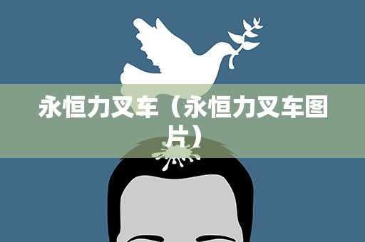 永恒力叉车（永恒力叉车图片）