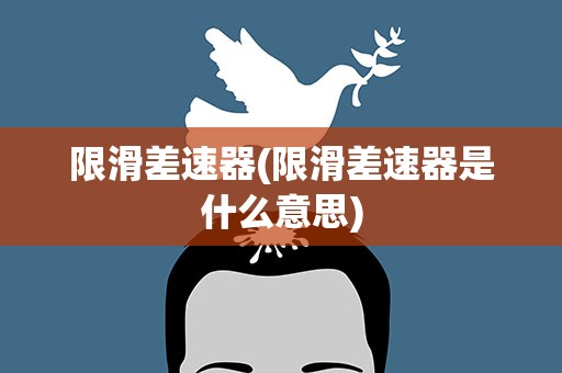 限滑差速器(限滑差速器是什么意思)