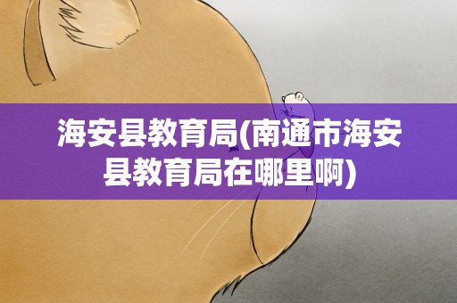海安县教育局(南通市海安县教育局在哪里啊)