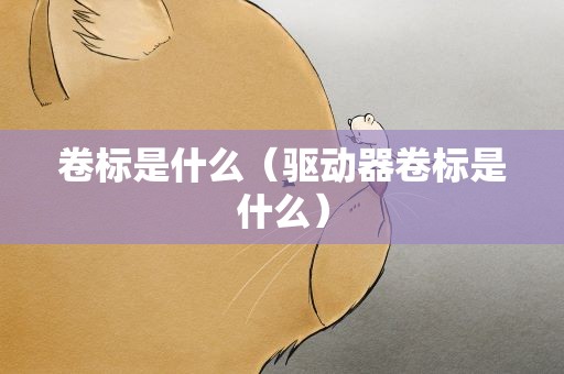 卷标是什么（驱动器卷标是什么）